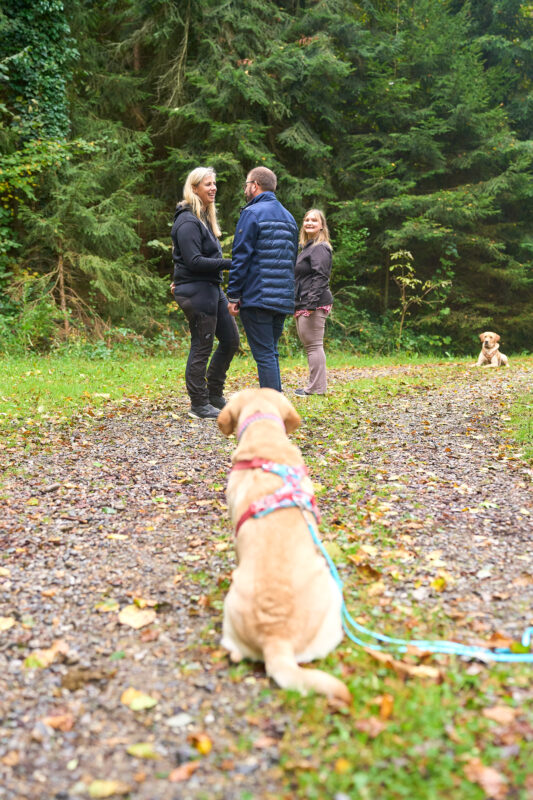 DogBones Hundeschule Hundepension Huta SocialWalk Social Walk Hundebetreuung