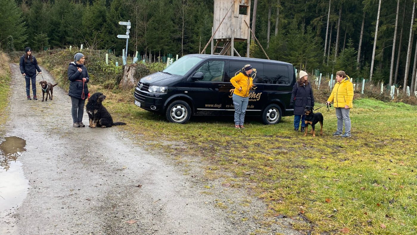Teilnehmerinnen mit ihren Hunden beim Socialwalk der DogBones Hundeschule im Wald – strukturierte Gruppenarbeit mit kontrollierten Begegnungen und alltagsnahem Training.
