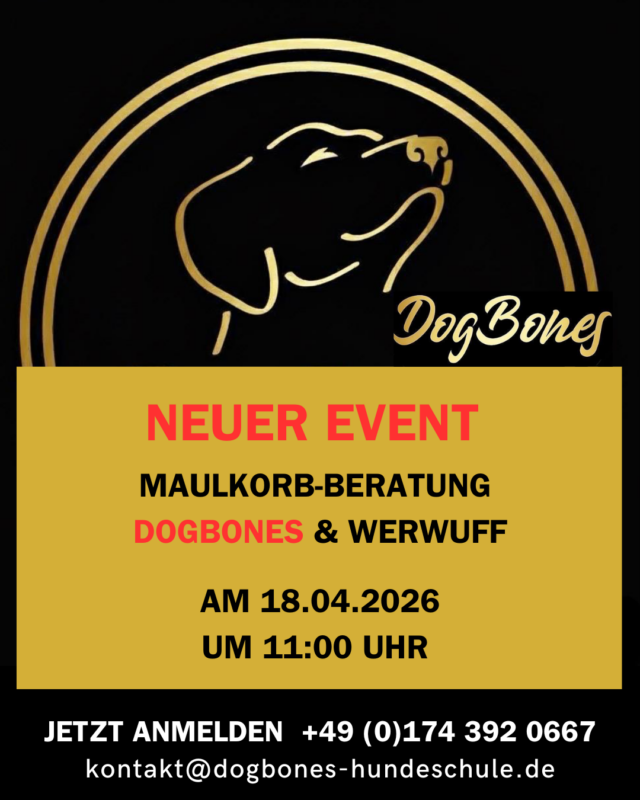 Du suchst den passenden Maulkorb für deinen Hund? In unserer individuellen Beratung helfen wir dir, den optimalen Sitz, hohen Tragekomfort und maximale Sicherheit zu gewährleisten. Egal ob für Training, Alltag oder besondere Situationen – wir nehmen uns Zeit für dich und deinen Vierbeiner.
