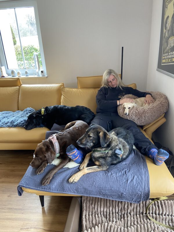 Dogbones Hundepension mit Evelien Smit