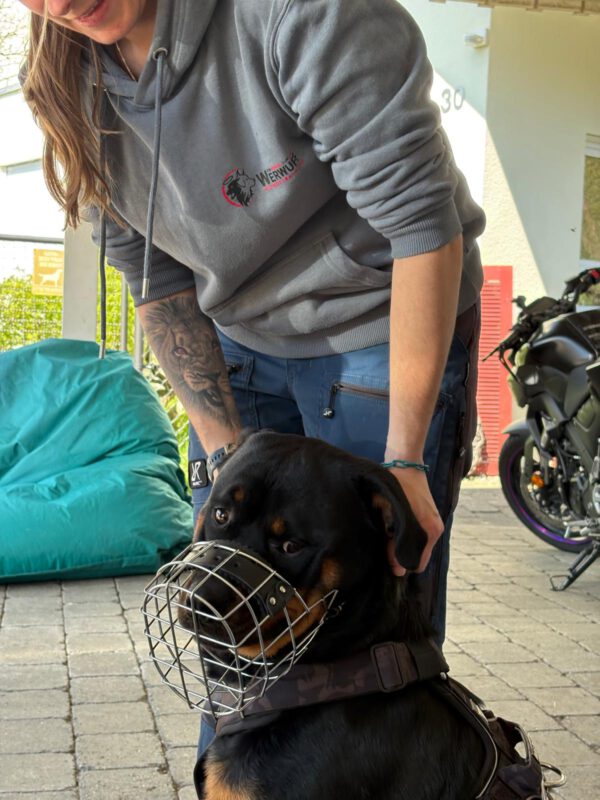 DogBones Hundeschule mit erfolgreichen Maulkorb Beratung Event