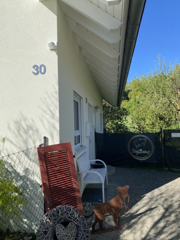 DogBones Hundepension Hundeschule Huta Ravensburg