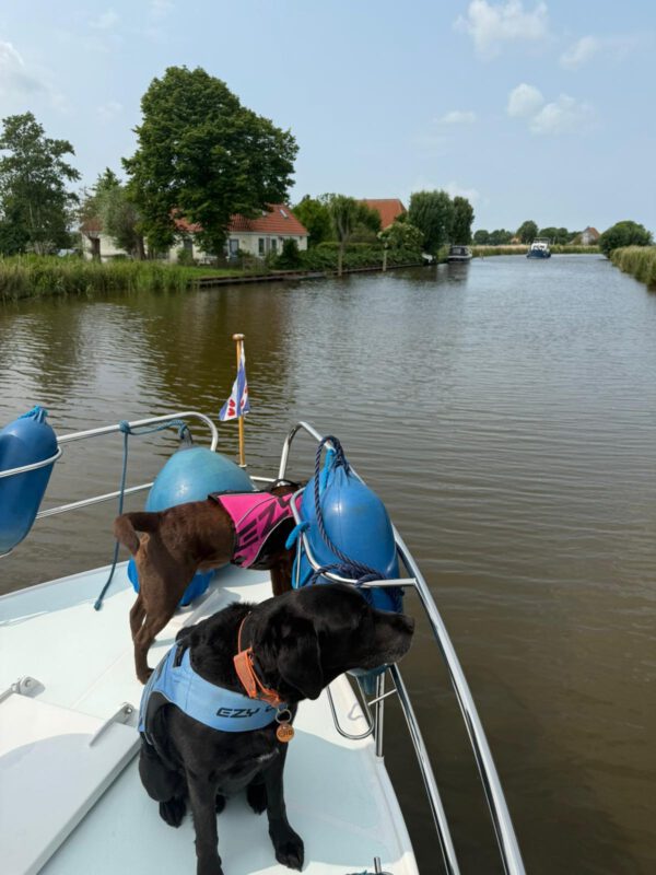 DogBones im Holland-Urlaub: Letti und Krümel gesichert mit Schwimmweste auf dem Boot – entspannte Ausflüge auf dem Wasser mit Hund.
