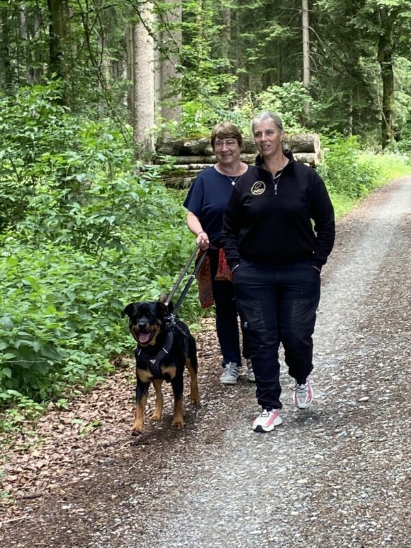 Social Walk der DogBones Hundeschule mit Hund und Teilnehmerinnen beim gemeinsamen Spaziergang im Wald