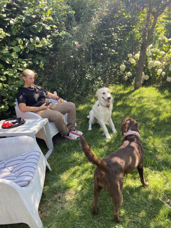 Hundepension DogBones: Evelien Smit entspannt mit einer harmonischen Hundegruppe im grünen Garten während der Hundebetreuung.