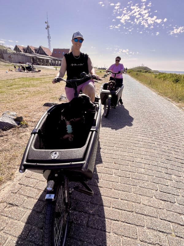 Urlaub mit Hund in Holland: Evelien und Marina Smit fahren mit Letti und Krümel entspannt in Lastenrädern an der Küste entlang.