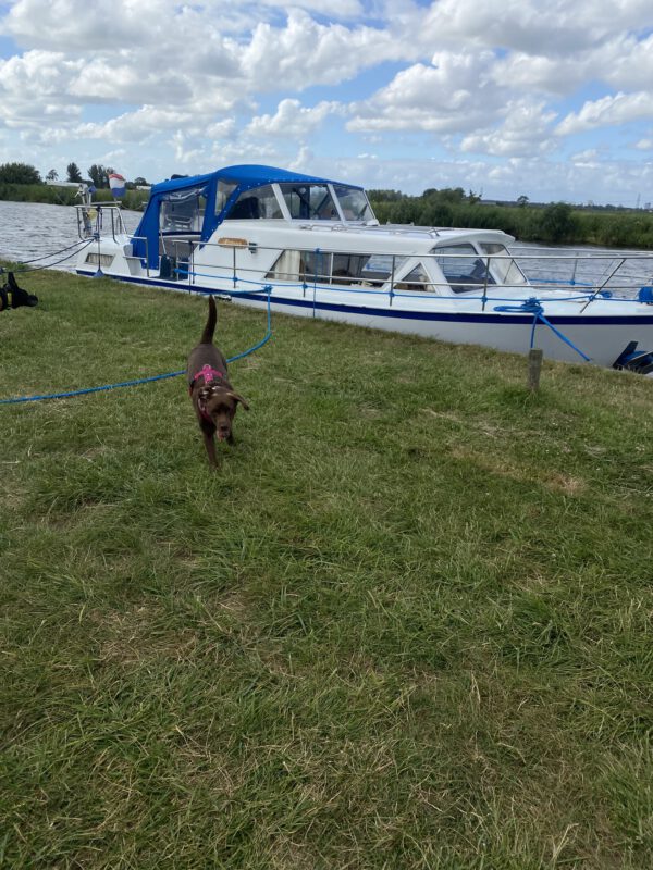 DogBones im Holland-Urlaub: Auslaufpause für den Hund am Grachtenufer während einer entspannten Bootstour.“